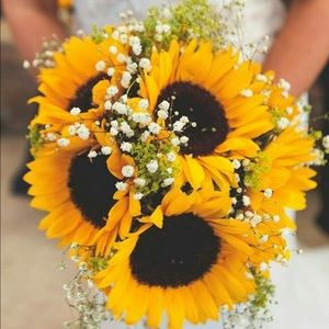 Meet your Posher, Whitney